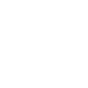 WP_Logo-2017 Kopie